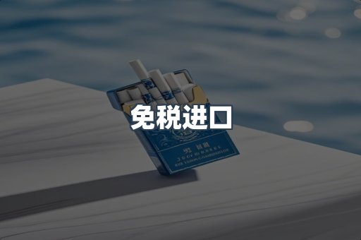 免税进口